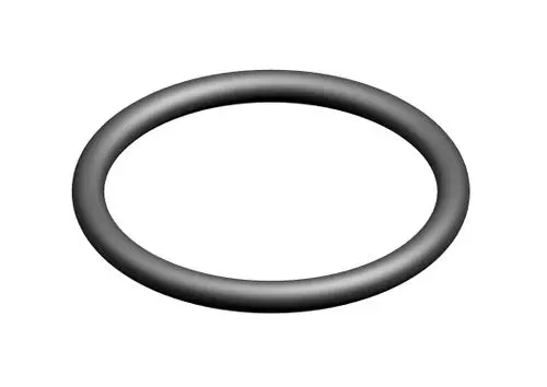 Schwarzer O-Ring mit runder Form, geeignet für technische Anwendungen, möglicherweise von Bosch. Der O-Ring ist auf einem weißen Hintergrund dargestellt.